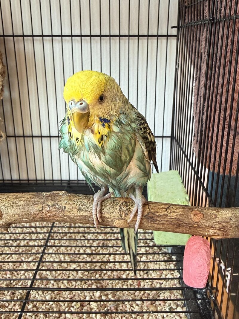 Gary got a nice bath!!