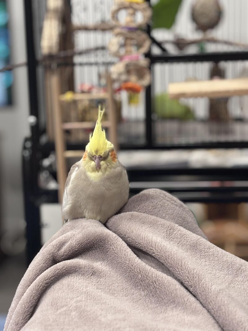 Awww she does love me