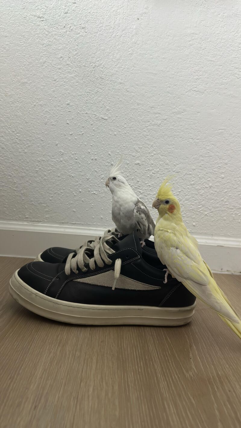 Should I be concerned about weight