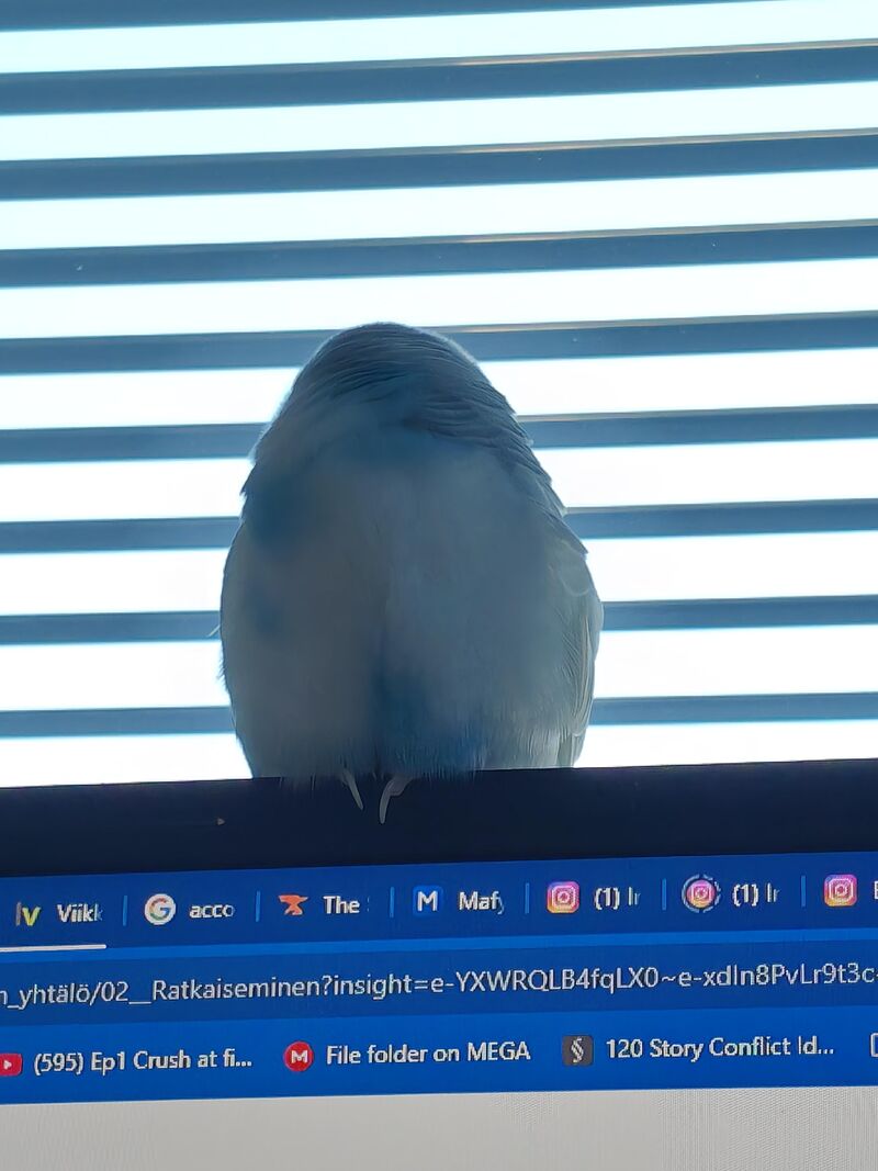 Her head dissapeared