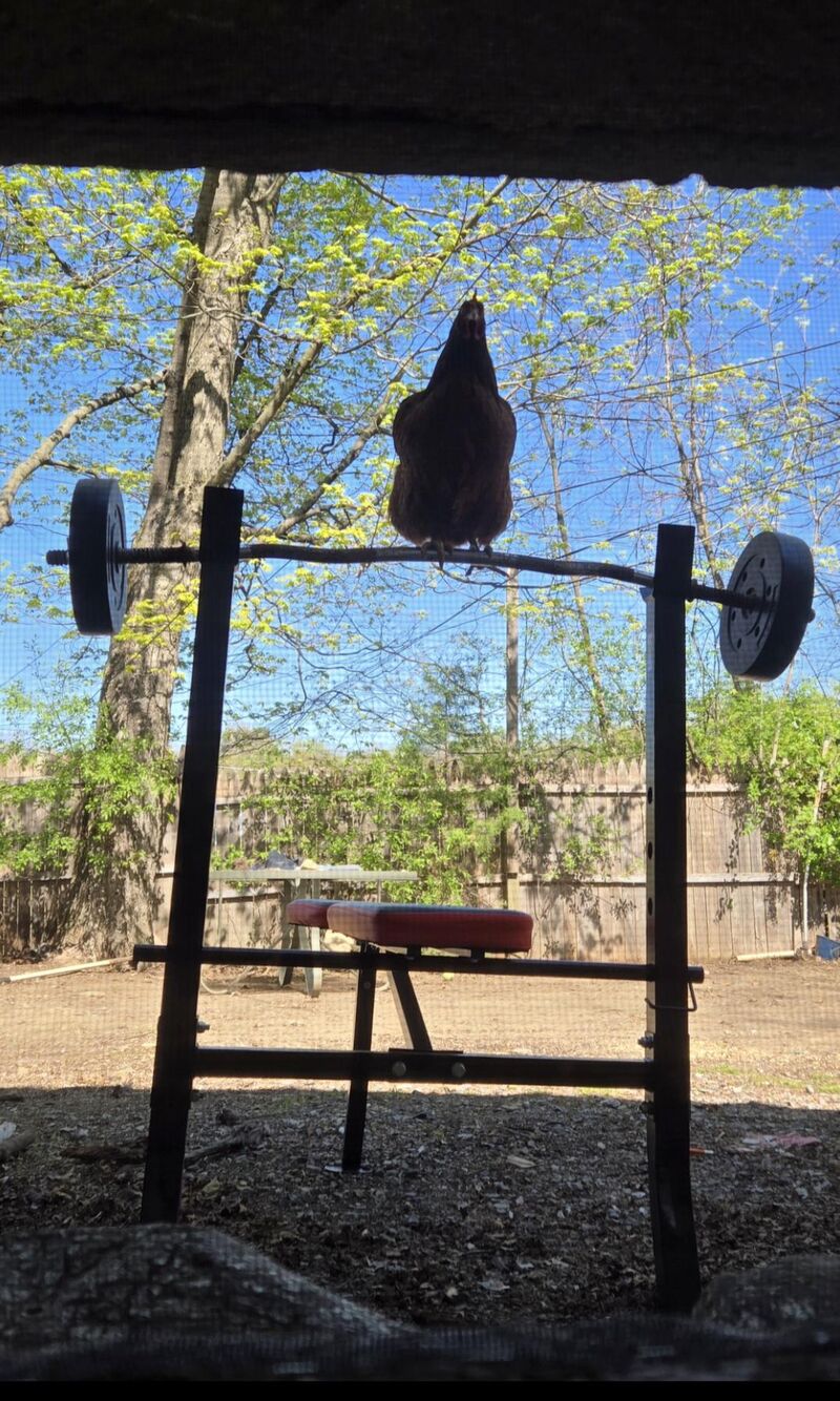 Nearly fainted when I opened the curtains today...