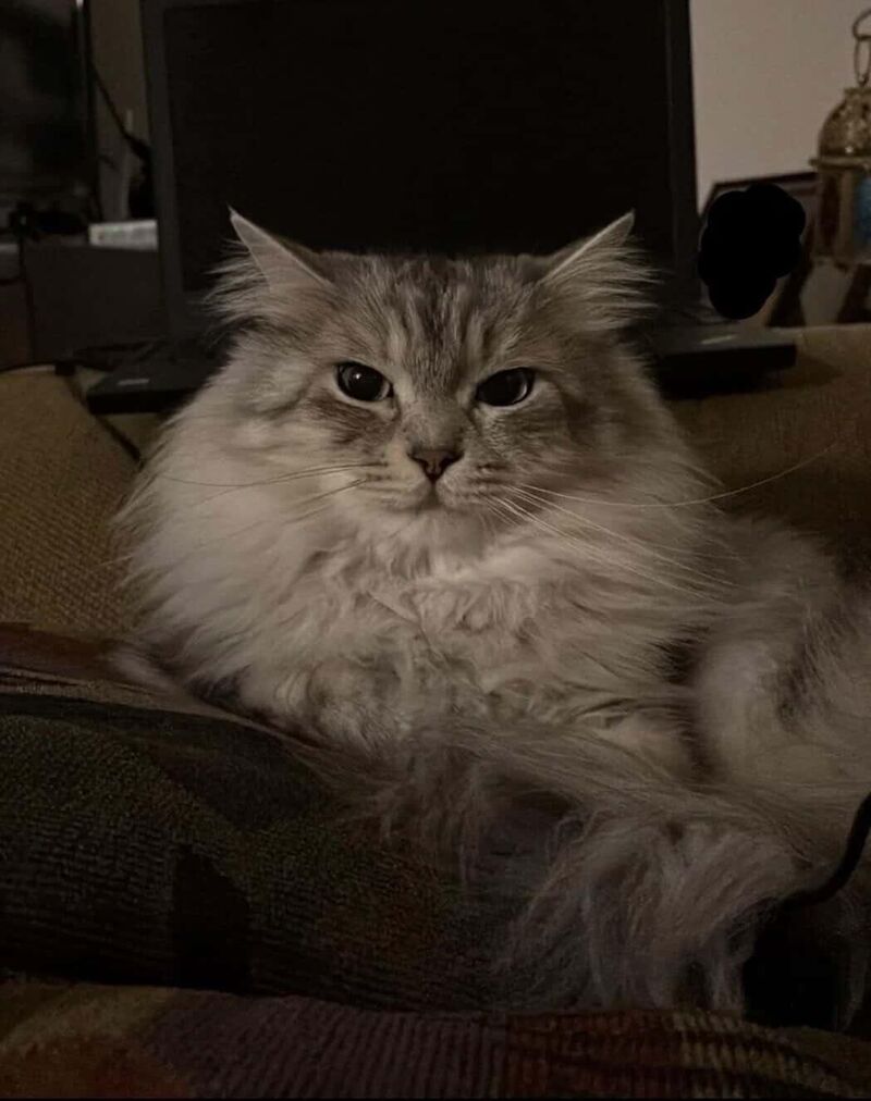 He has serious business.