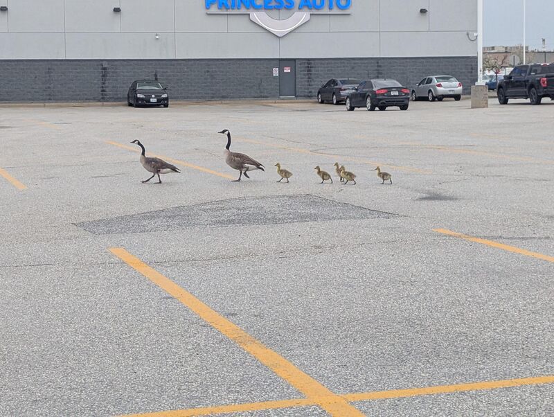 First I've seen this year