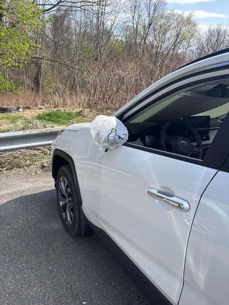 Neighbors Have Been Putting Bags on Car Mirrors to Stop Robbins From Fighting Themselves.