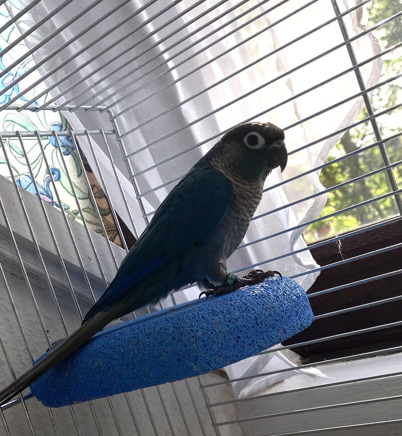 Need name suggestions for this gorgeous girl.