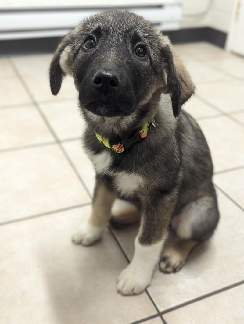 That face. I'm doomed. She will always get her way!