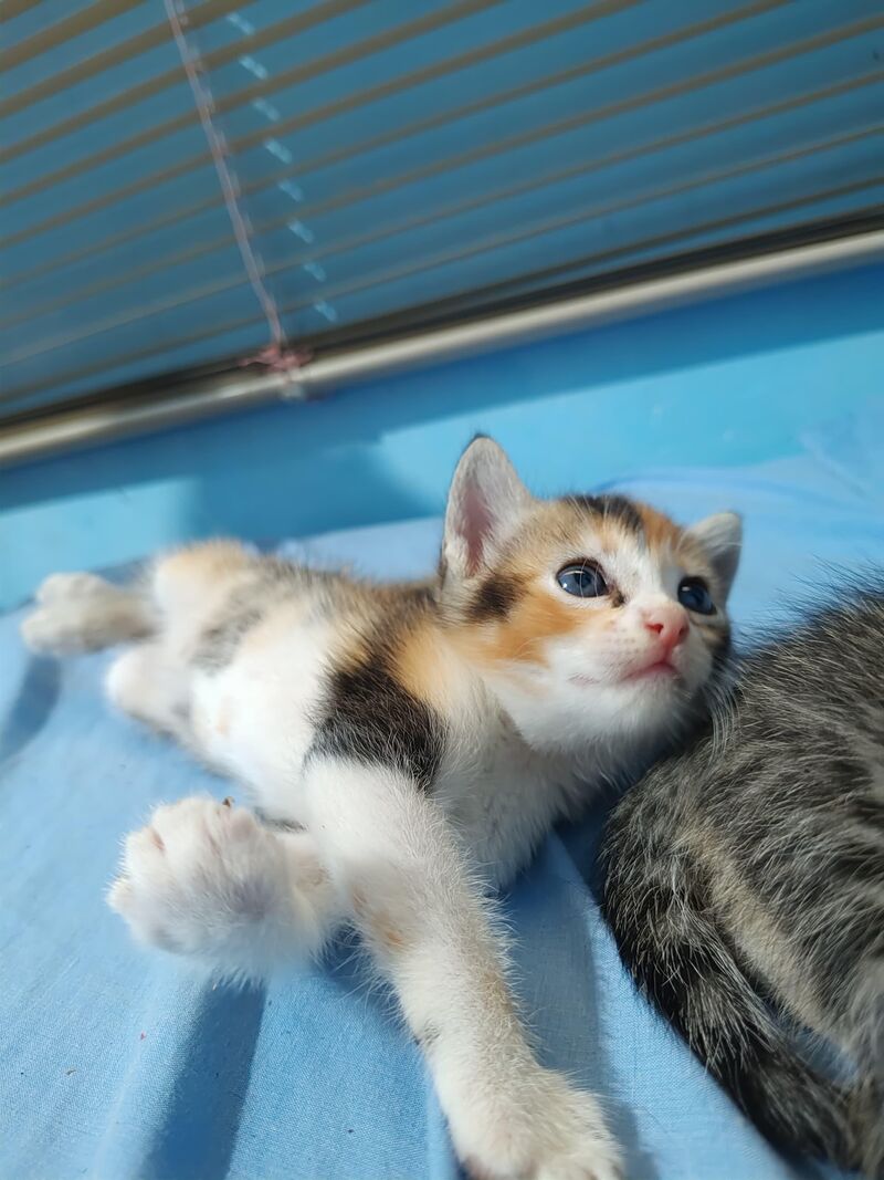 The newest member of the family 🥺