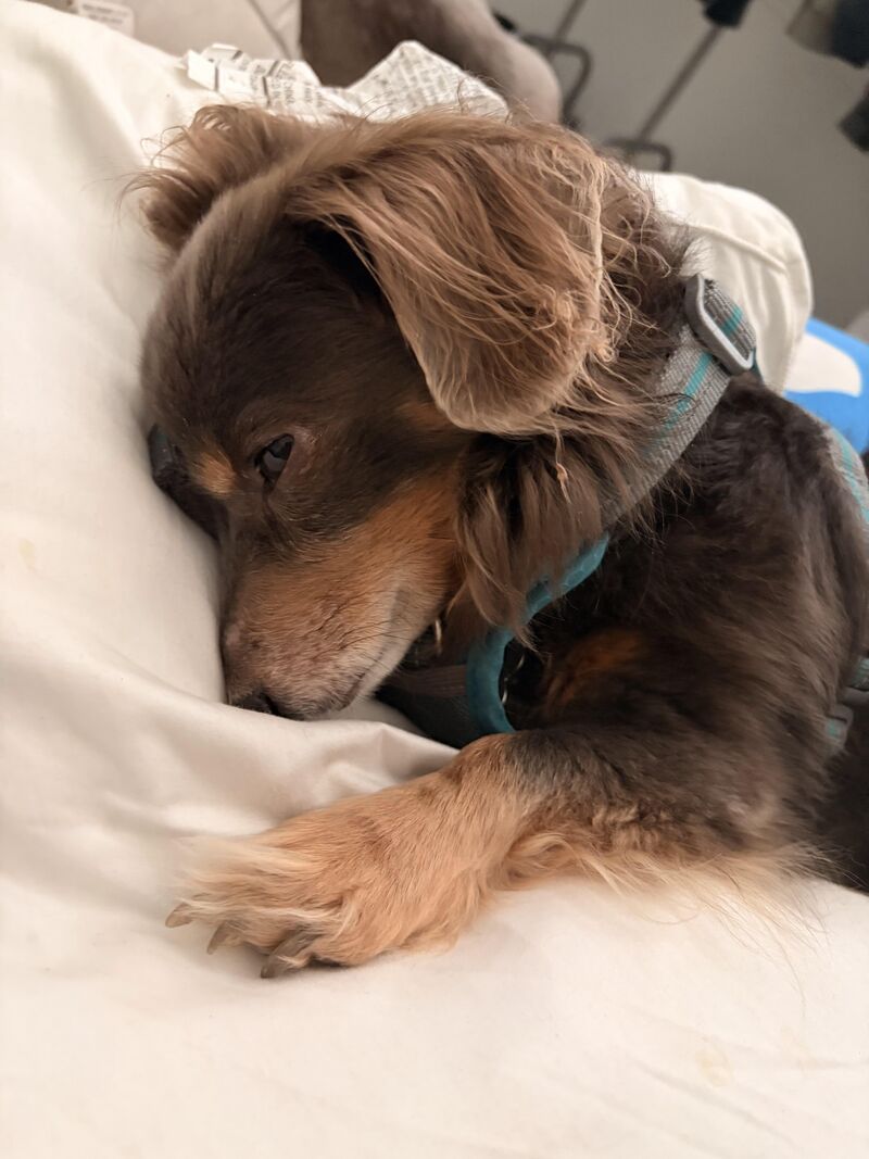 our lil monkey boy ! 🙈