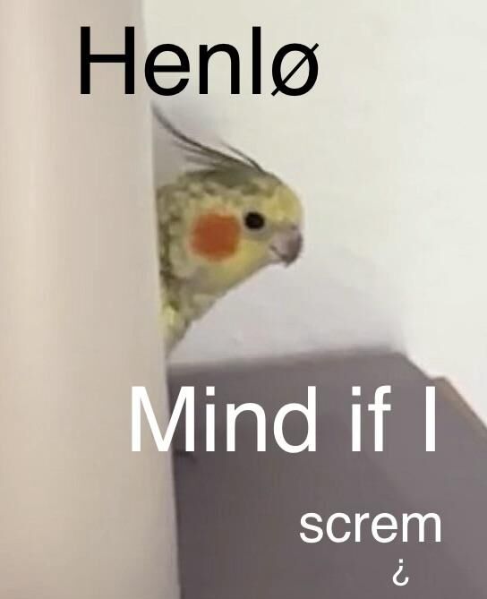 Have a silly meme in these trying times