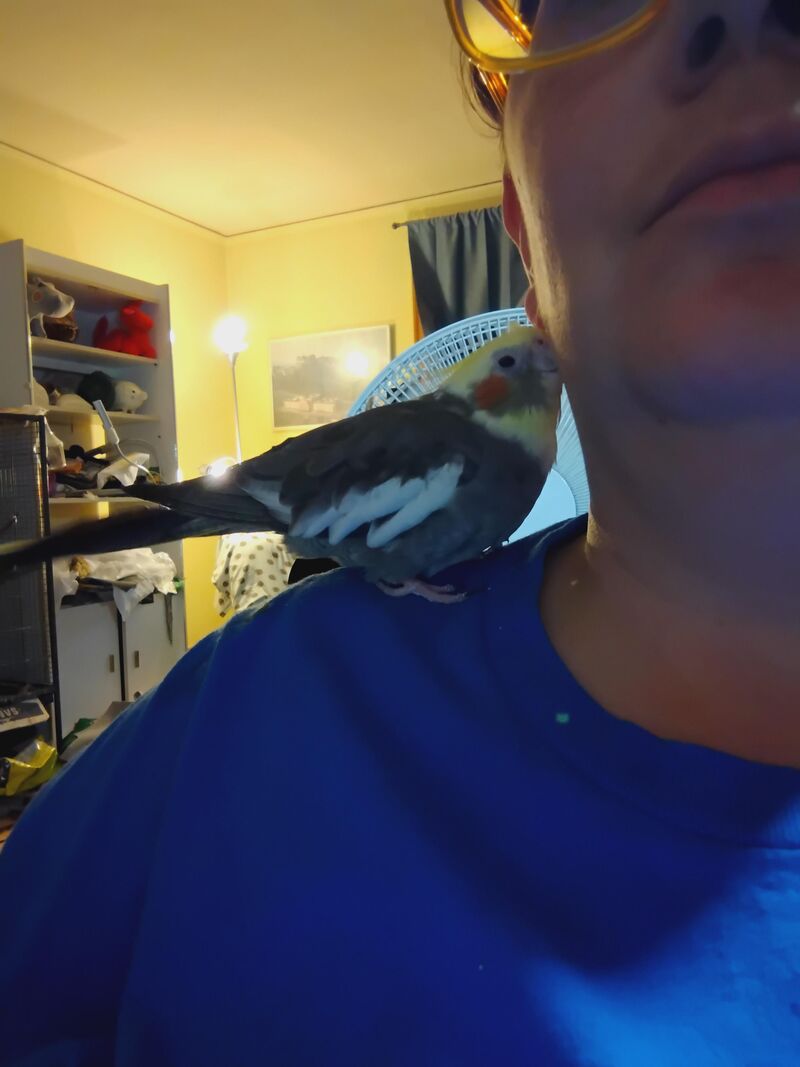 Jackie is 14. First time asking for pets like this.