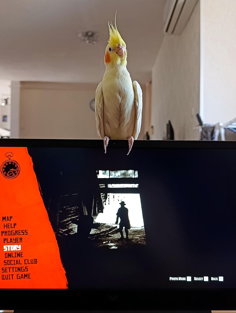 She was curious about what I was playing and I couldn't stop her.