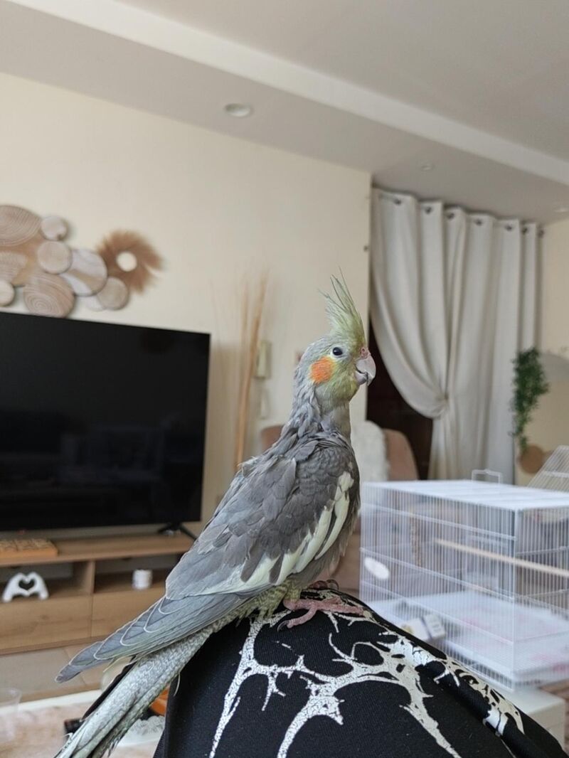 Is it normal for her to keep biting me a lot?